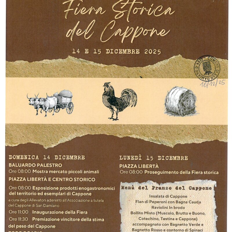 avviso 74/2025 - deviazioni linee 27 - 47 servizio festivo in San Damiano d'Asti per Fiera del Cappone ed Eventi Natalizi