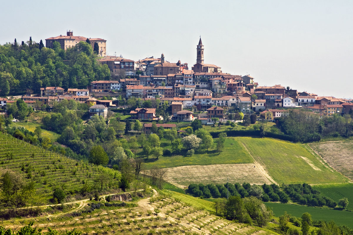avviso 38/2026 - fine deviazione San Martino Alfieri